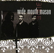 wide mouth mason