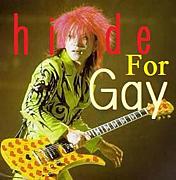 hide For Gay