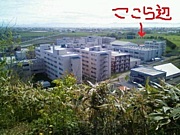 �̳�ƻ������ء�SF�����