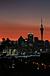 ELA : New Zealand 2008