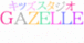 ���å����󥹡�GAZELLE��¿��