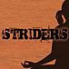 ȥ饤 -STRIDERS-