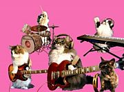 �ҥȥ��餹��ʤ���˹Ԥ�����