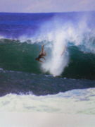 SURF411ʵ