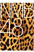 NMB48