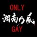 ǵOnly Gay