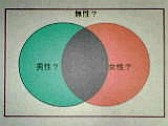 性別：不定〜あやふや人生