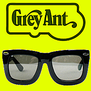 Grey Ant