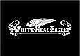 White Head EagleŹ