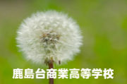 �ܾ븩�����澦�ȹ����ع�