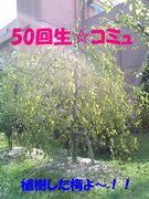 SEIREI♡50