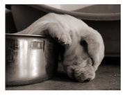 ����̲�ä�