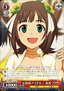 �˥��Х��������������������