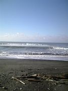 NORTHCOAST��BODYBOARDERS