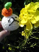 �����ޤ�ι