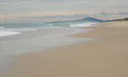 DA SUNSHINE COAST