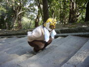 �����������ȥ졼�˥�