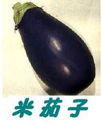 �Ʋػ�
