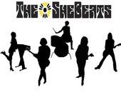 THE SHEBEATS
