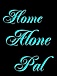 Home Alone Pal
