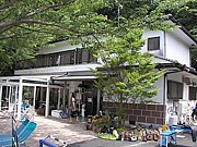 大瀬崎シーキング