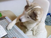 ぴっちり真ん中分け