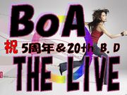 期間限定『BoA　THE　LIVE』の輪