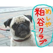 �ᤷ�䥯���