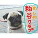 �ᤷ�䥯���