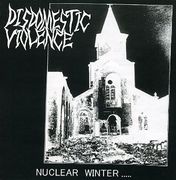 DISDOMESTIC VIOLENCE