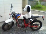 バイク好きなママ