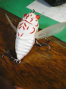 �����θ����������繥����