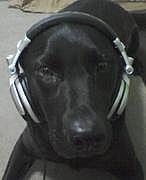 House Music People��IN "Gunma"