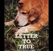 A LETTER TO TRUE