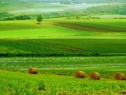 起業家の情報交換と協力