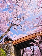 ☆２３年度千葉工業大学生☆