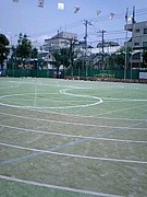 ȷ����1989-1990ǯ��(���؎�)