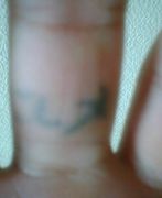 �������Ǥʤ�̴��Ĥ���͡��β�