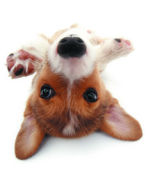 1987ǯ1��19�����ޤ����ä�!!