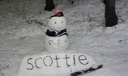scottie =�ƥ��å��夸��ʤ���=