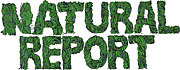 【NATURAL REPORT】