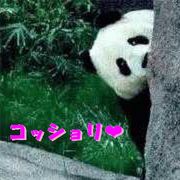 ���å����♡����|�ϡ�)