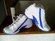 �Х�����������IN����