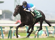 ����ӥ��㥹