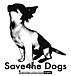 save the dogs!!