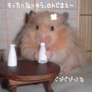 Ϣ ë