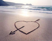 �Ҽ鱴���󡡥饦�ޥ��󥰡�