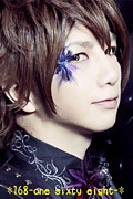 168-one sixty eight- 葵