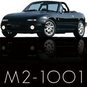 M2-1001