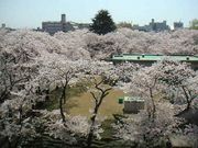 ������������ǯ�����ľ�´������